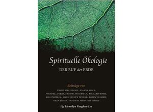 9783890606545 - Llewellyn Vaughan-Lee - GEBRAUCHT Spirituelle Ökologie Der Ruf der Erde - Preis vom 15112023 060513 h