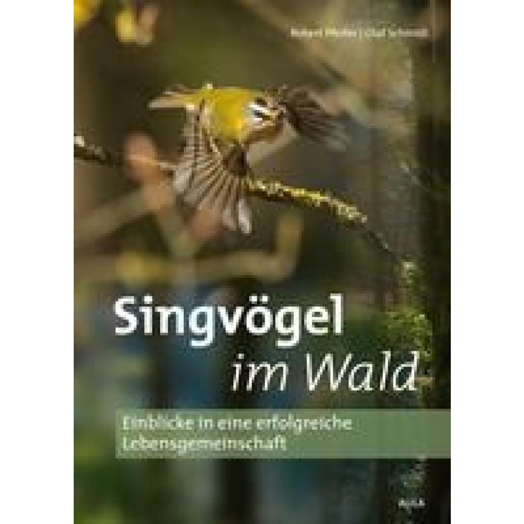 9783891048542 - Singvögel im Wald - Robert Pfeifer Olaf Schmidt Gebunden