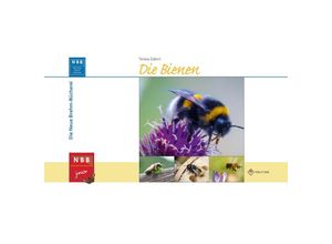 9783894328719 - Die Bienen - Teresa Zabori Gebunden