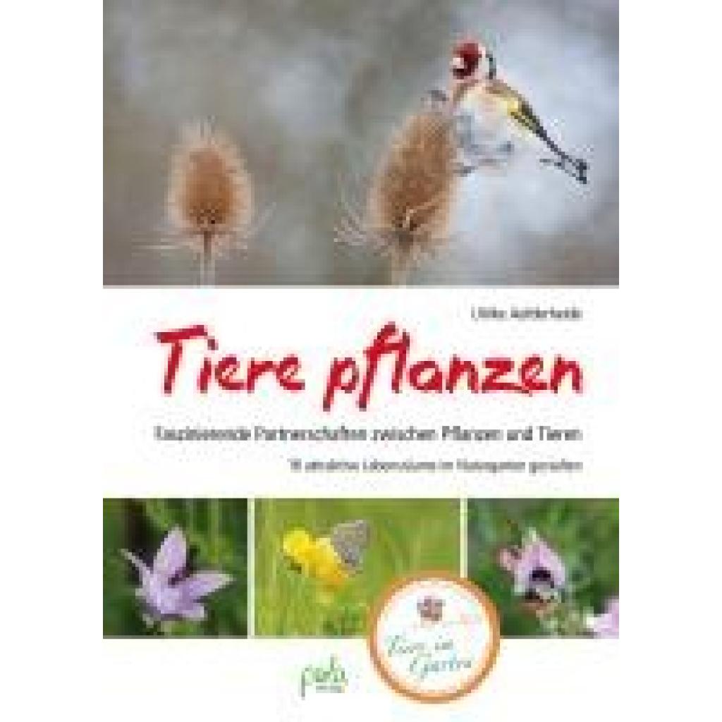 9783895663888 - Aufderheide Ulrike Tiere pflanzen