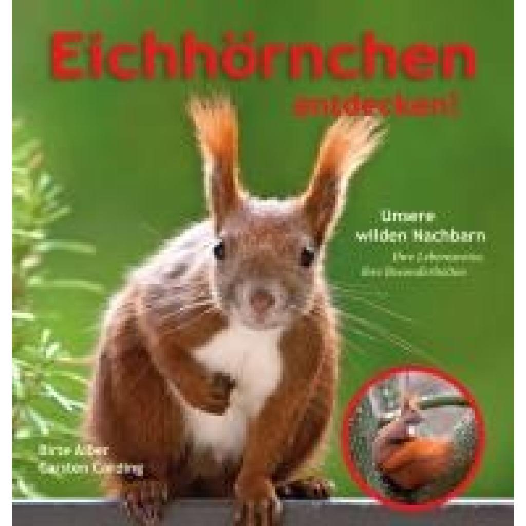 9783895664410 - Alber Birte Eichhörnchen entdecken!