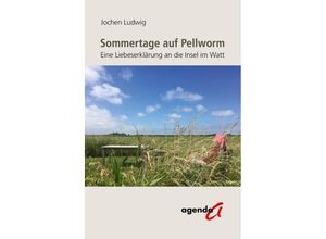 9783896886774 - Sommertage auf Pellworm - Jochen Ludwig Kartoniert (TB)