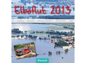 9783898766975 - Elbeflut 2013 - Alix Paulsen Lorenz Paulsen Kartoniert (TB)