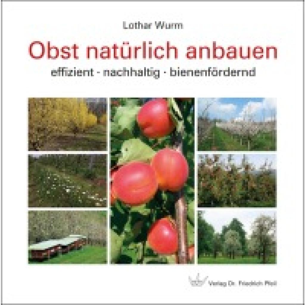 9783899372984 - Wurm Lothar Obst natürlich anbauen
