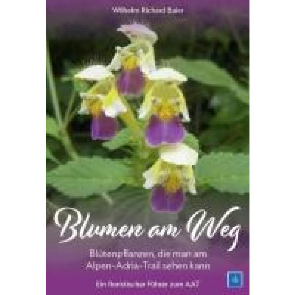 9783900323998 - Baier Wilhelm Richard Blumen am Weg