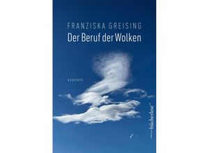 9783906907826 - Der Beruf der Wolken - Franziska Greising Gebunden