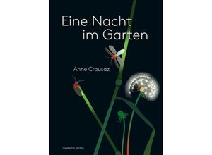 9783908142775 - Eine Nacht im Garten - Anne Crausaz Gebunden