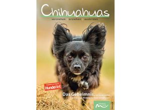 9783910503090 - Chihuahuas - Claudia de la Motte Kartoniert (TB)