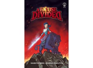 9783911271028 - A House Divided - Haiko Hörnig Gebunden