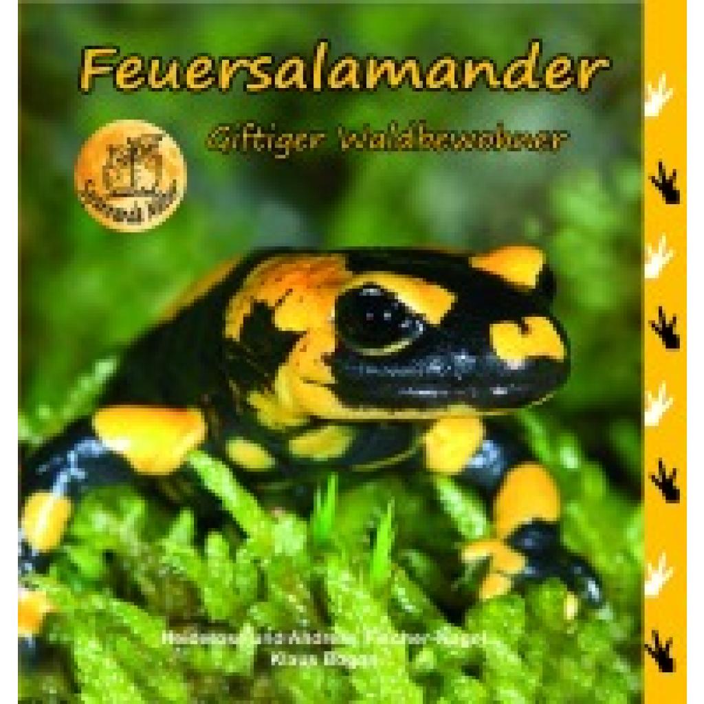 9783930038589 - Fischer-Nagel Heiderose Feuersalamander
