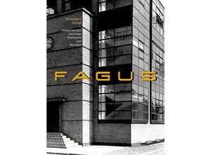 9783931321833 - Fagus - Annemarie Jaeggi Gebunden