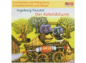 9783931925666 - Der Koboldsturm - Ingeborg Feustel (Hörbuch)