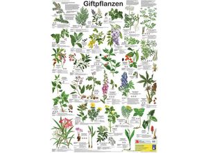 9783933922748 - Giftpflanzen Poster deutsch DIN A1 Planet Poster Editions