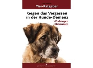 9783936137729 - Gegen das Vergessen in der Hunde-Demenz - Imre Kusztrich Kartoniert (TB)