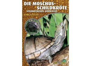 9783937285344 - Die Moschusschildkröte - Maik Schilde Kartoniert (TB)