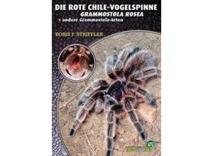 9783937285412 - Die Rote Chile-Vogelspinne - Boris F Striffler Kartoniert (TB)