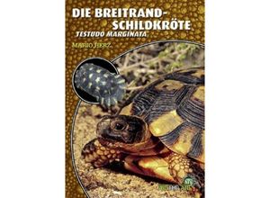 9783937285948 - Die Breitrandschildkröte - Mario Herz Kartoniert (TB)