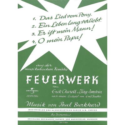 9783938493069 - Feuerwerk