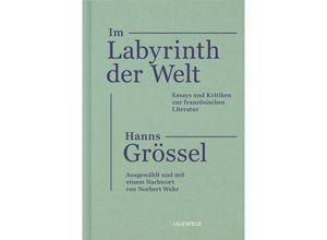 9783940357632 - Im Labyrinth der Welt - Hanns Grössel Leinen