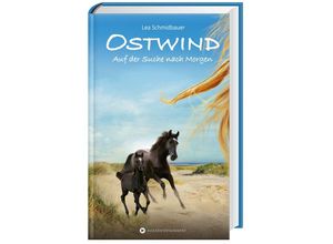 9783940919120 - Auf der Suche nach Morgen   Ostwind Bd4 - Lea Schmidbauer Gebunden