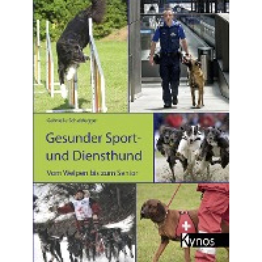 9783942335980 - Scheidegger Gabrielle Gesunder Sport- und Diensthund