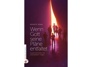 9783943362817 - Real Life Story Wenn Gott seine Pläne entfaltet  - Renate Senn Kartoniert (TB)