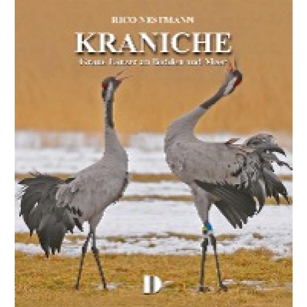 9783944102146 - Bildband Kraniche - Rico Nestmann Gebunden