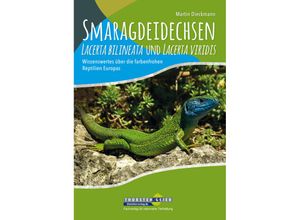 9783944484174 - Smaragdeidechsen Lacerta bilineata und Lacerta viridis - Martin Dieckmann Kartoniert (TB)