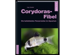 9783944821986 - Corydoras-Fibel - Ingo Seidel Gebunden