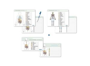 9783946904540 - Ich kenne meinen Körper - Organe   Skelett   Verdauung- 3 Tafeln im Set mit Stift - Katrin Langhans Loseblatt