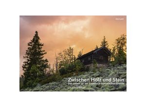 9783947171279 - Zwischen Holz und Stein - Lukas Haselberger Gebunden