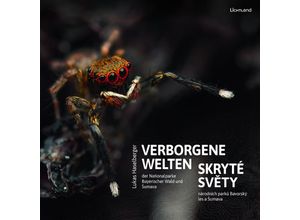 9783947171491 - Verborgene Welten   Skryté Svety Gebunden