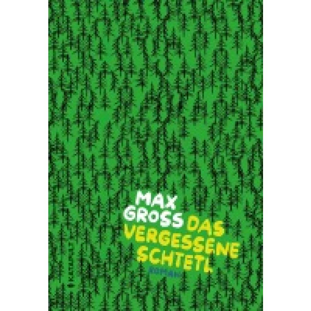 9783948923884 - Gross Max Das vergessene Schtetl