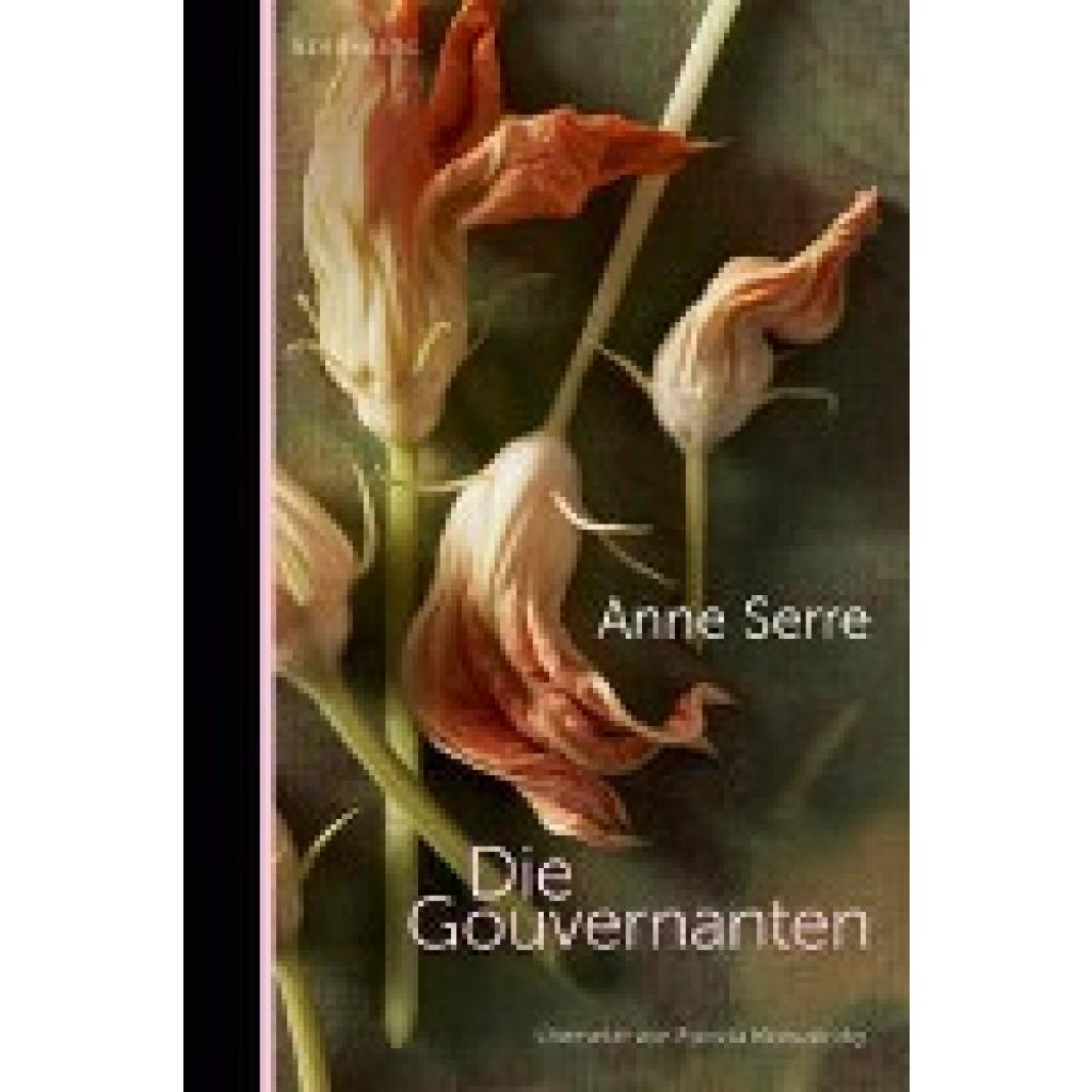 9783949203671 - Serre Anne Die Gouvernanten