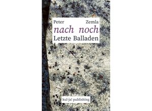 9783949260148 - nach noch - Zemla Peter Gebunden