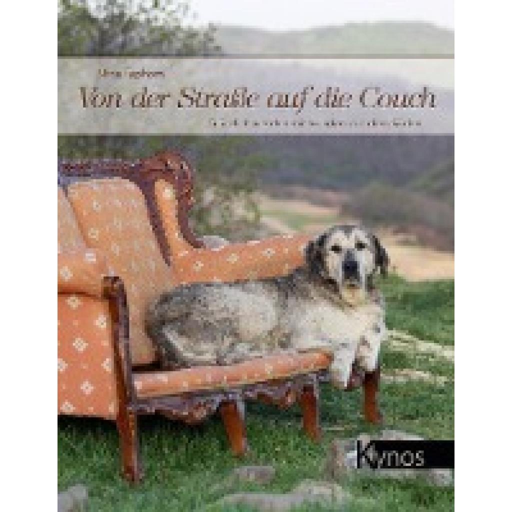 9783954641314 - Taphorn Nina Von der Straße auf die Couch