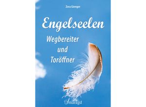 9783955311438 - Engelseelen - Wegbereiter und Toröffner - Zora Gienger Kartoniert (TB)