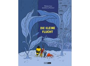 9783956404115 - Die kleine Flucht - Marzena Sowa Dorothée de Monfreid Gebunden