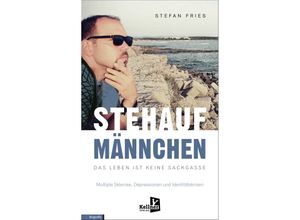 9783956513985 - STEHAUFMÄNNCHEN DAS LEBEN IST KEINE SACKGASSE - Stefan Fries Kartoniert (TB)