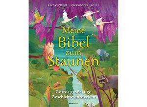 9783957349071 - Meine Bibel zum Staunen - Glenys Nellist Gebunden