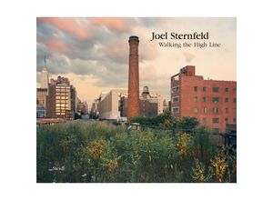 9783958297647 - Walking the High Line - Joel Sternfeld Leinen