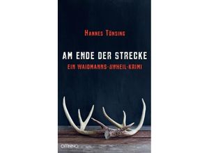 9783958941106 - Am Ende der Strecke - Hannes Tönsing Gebunden