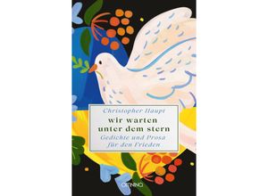 9783958942752 - wir warten unter dem stern - Christopher Haupt Kartoniert (TB)