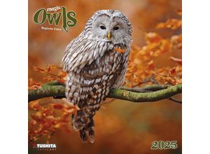 9783959293990 - Magic Owls 2025