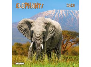 9783959294010 - Elephant 2025