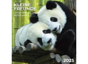 9783959294539 - Little Friends Kleine Freunde 2025