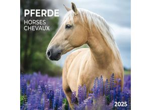 9783959294546 - Horses Pferde 2025