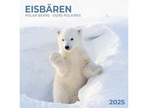 9783959294638 - Polar Bears Eisbärchen 2025