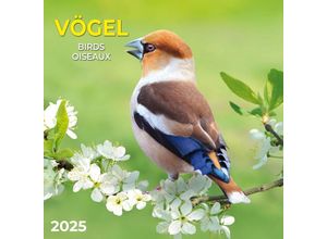 9783959294713 - Vögel 2025