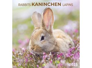 9783959294720 - Rabbits Kaninchen 2025